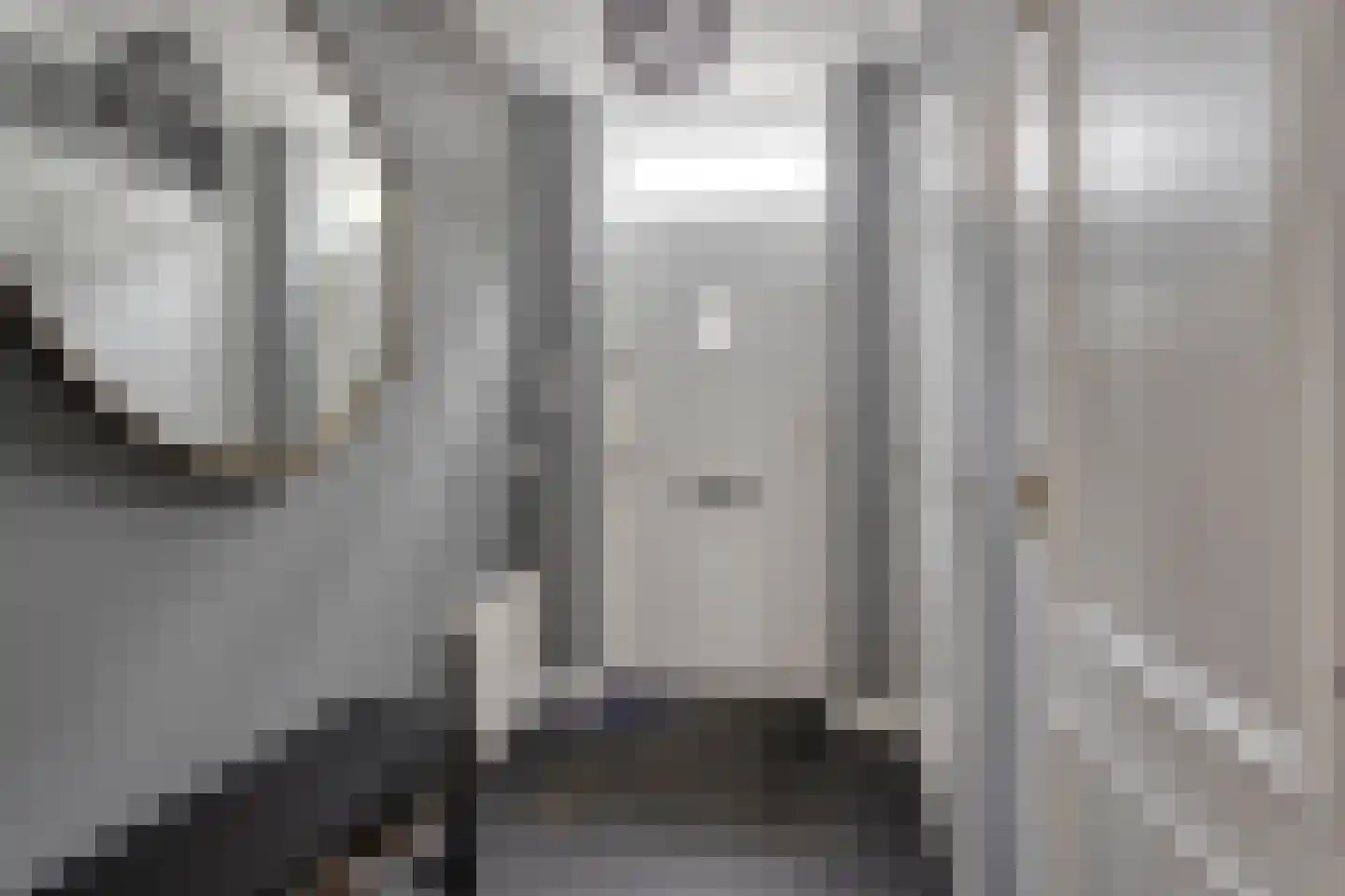 Watervliet 84 Hoofddorp thumbnail 15