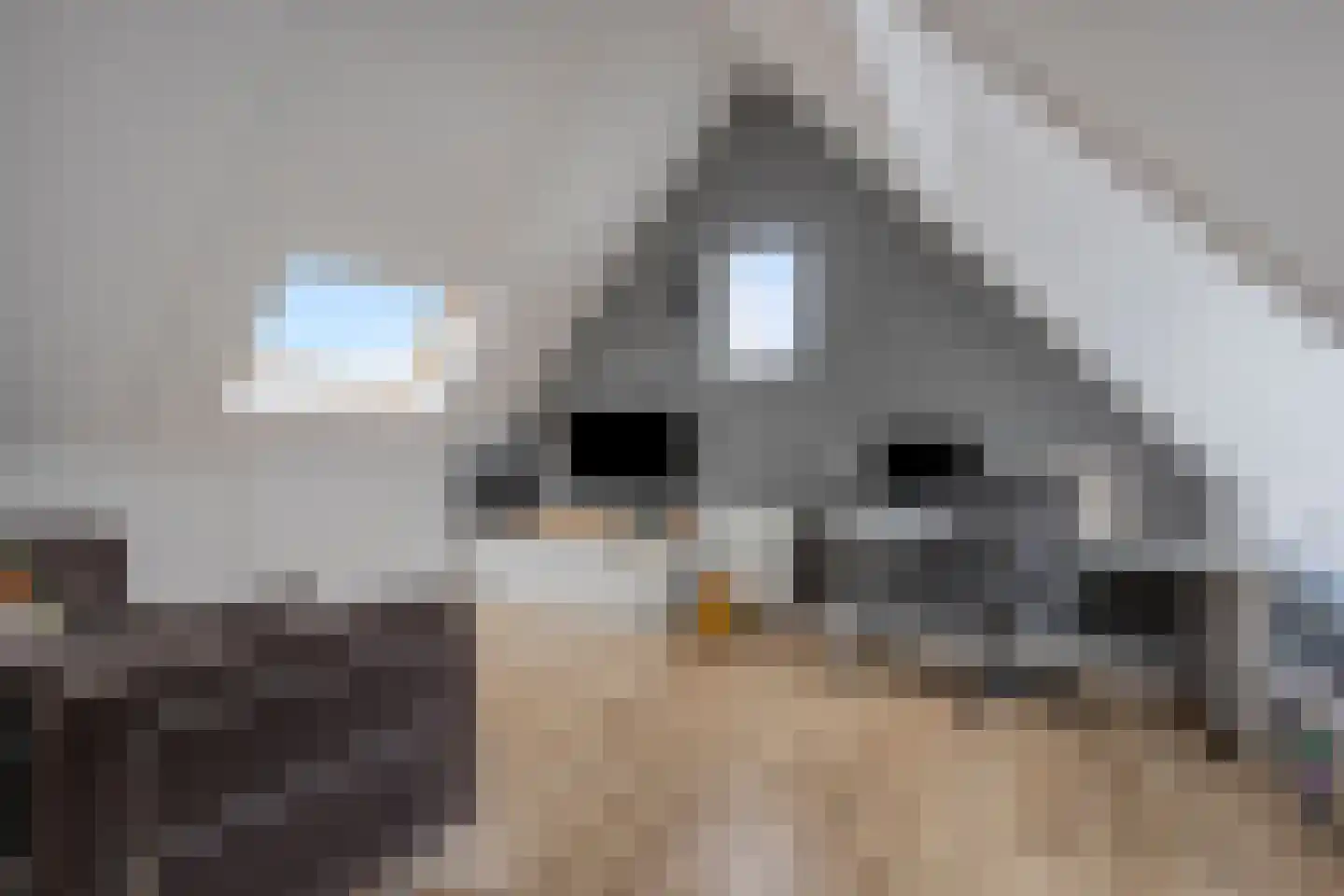 Watervliet 84 Hoofddorp thumbnail 37