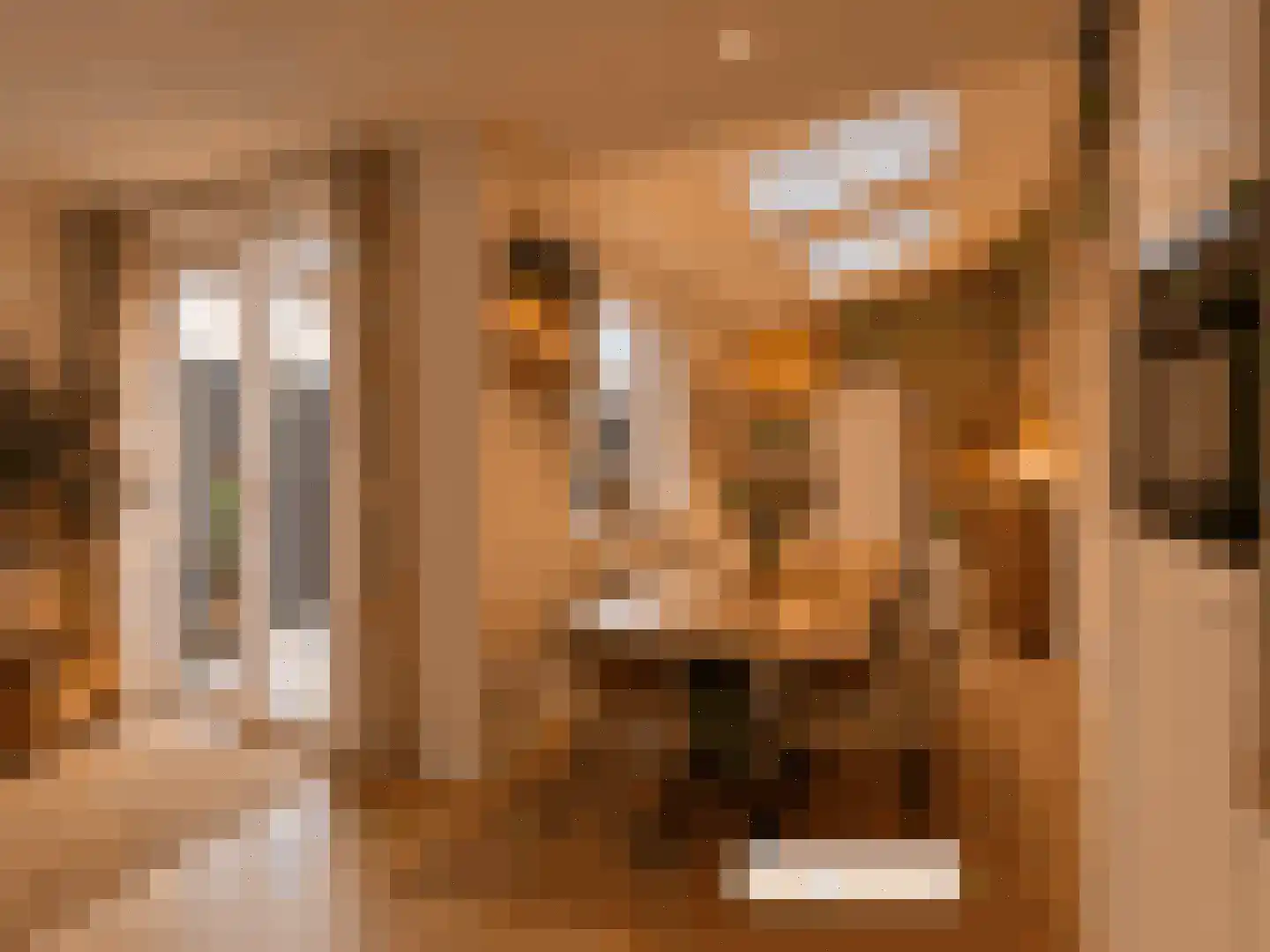 Watervlietseweg 12 IJzendijke thumbnail 11