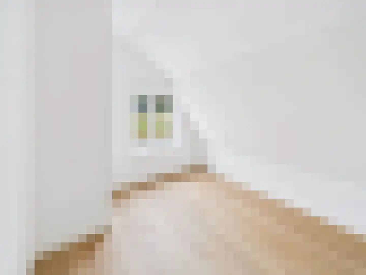 Watervlietseweg 12 IJzendijke thumbnail 24