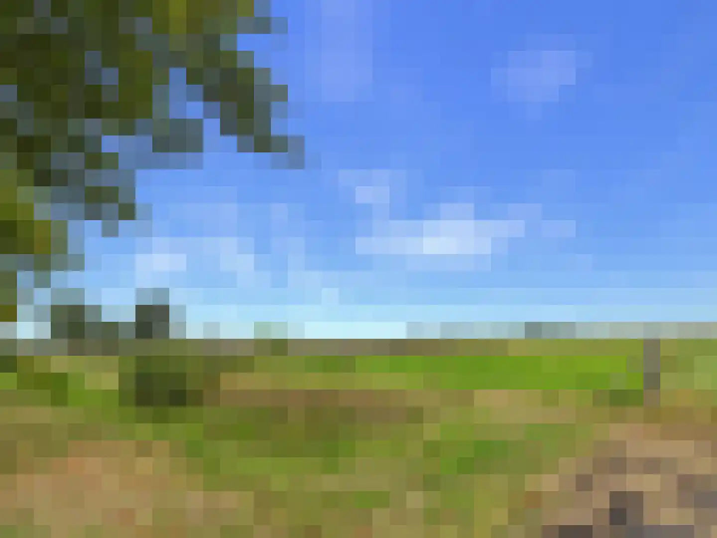 Watervlietseweg 12 IJzendijke thumbnail 40