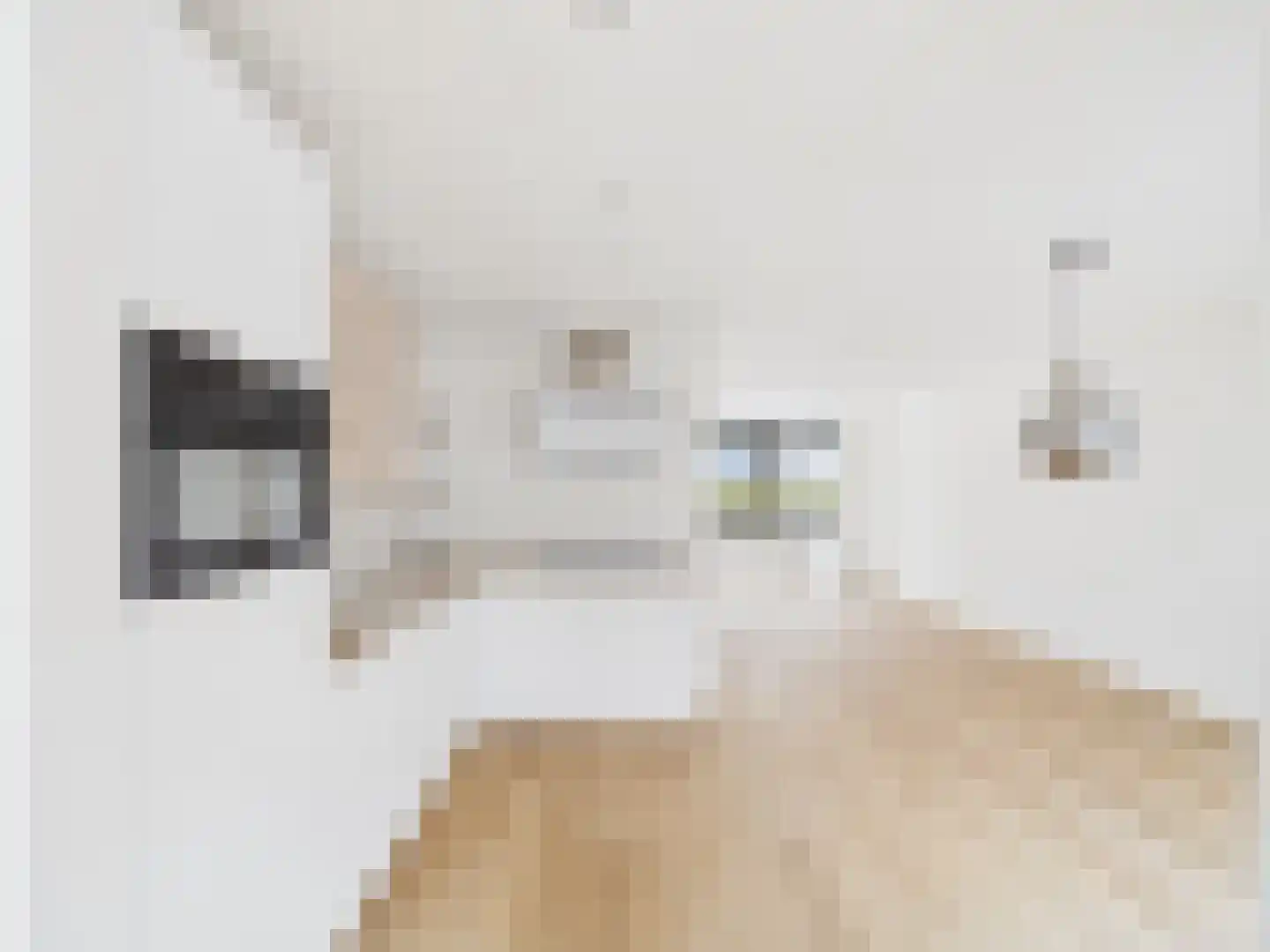 Watervlietseweg 12 IJzendijke thumbnail 7