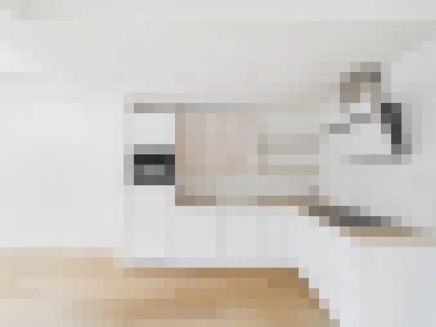 Watervlietseweg 12 IJzendijke thumbnail 8