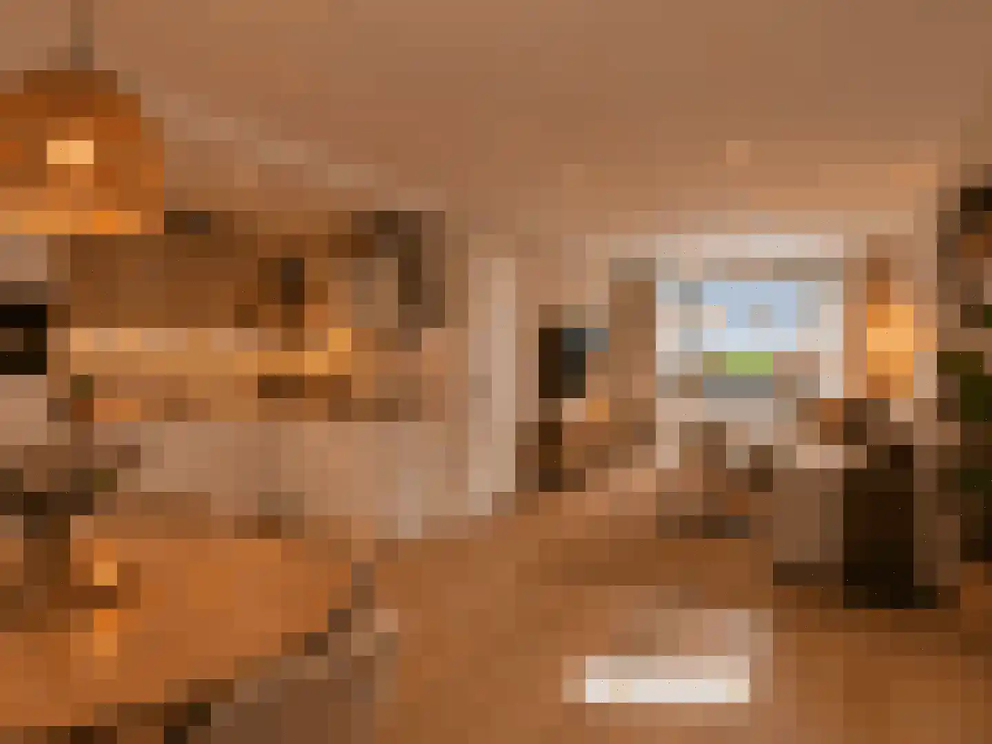 Watervlietseweg 12 IJzendijke thumbnail 8