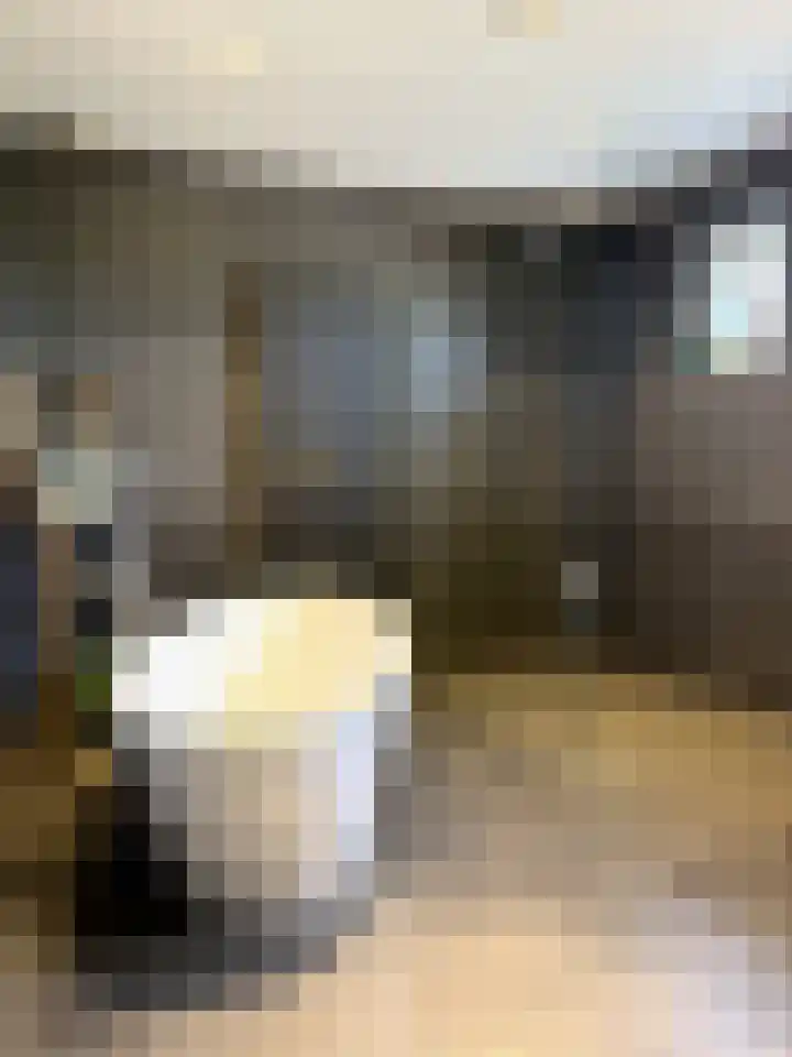 Watervlietseweg 28 IJzendijke thumbnail 17