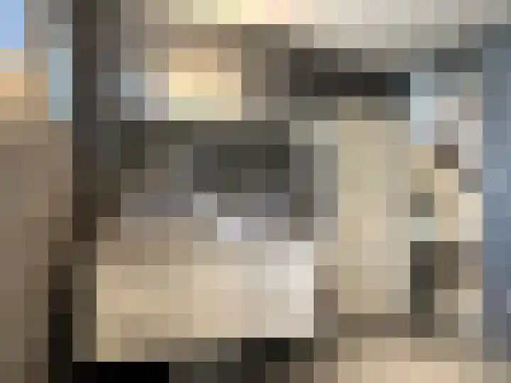 Watervlietseweg 28 IJzendijke thumbnail 18