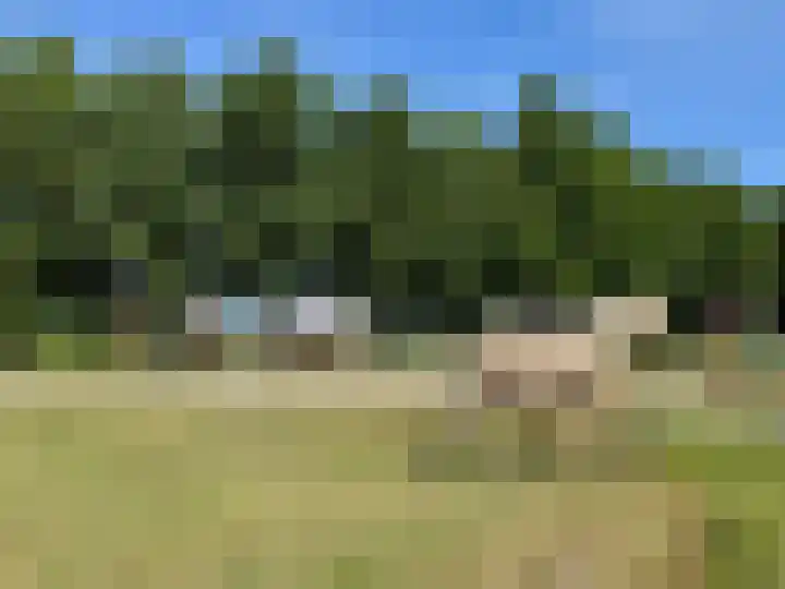 Watervlietseweg 28 IJzendijke thumbnail 31