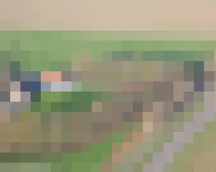 Watervlietseweg 28 IJzendijke thumbnail 32