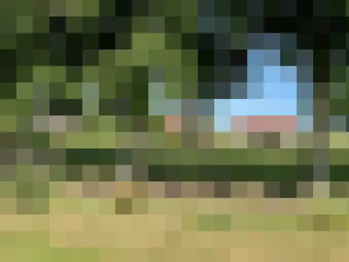 Watervlietseweg 28 IJzendijke thumbnail 38