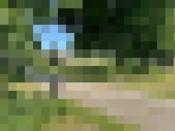 Watervlietseweg 28 IJzendijke thumbnail 4