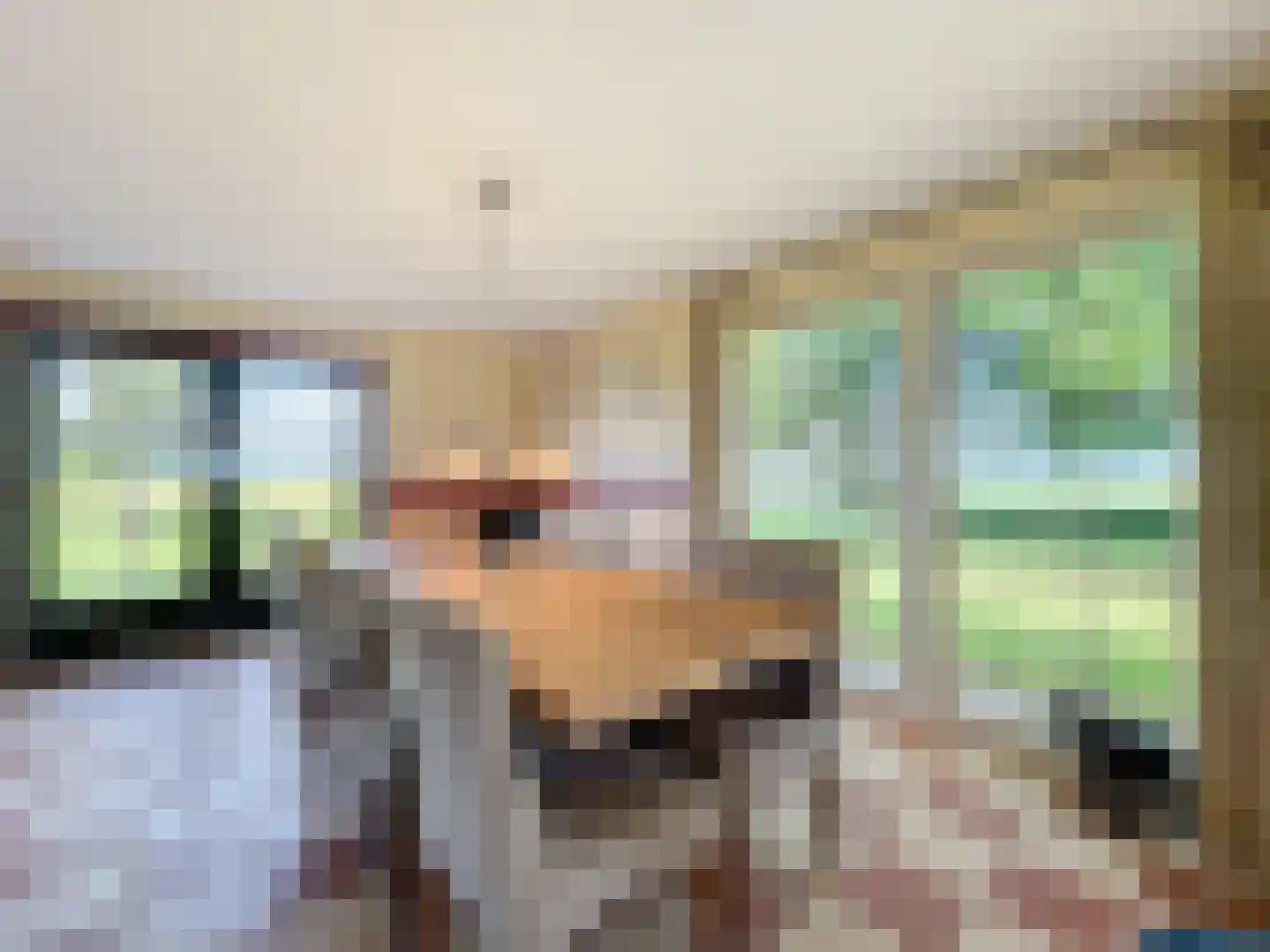 Watervlietseweg 38 IJzendijke thumbnail 15