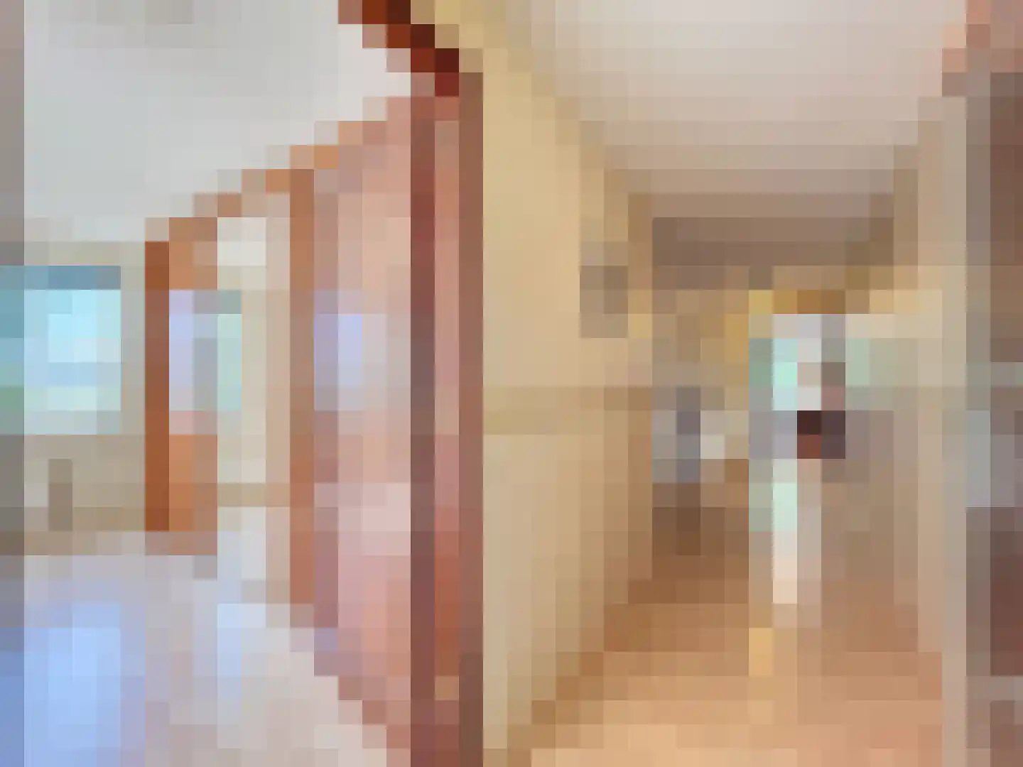 Watervlietseweg 38 IJzendijke thumbnail 18