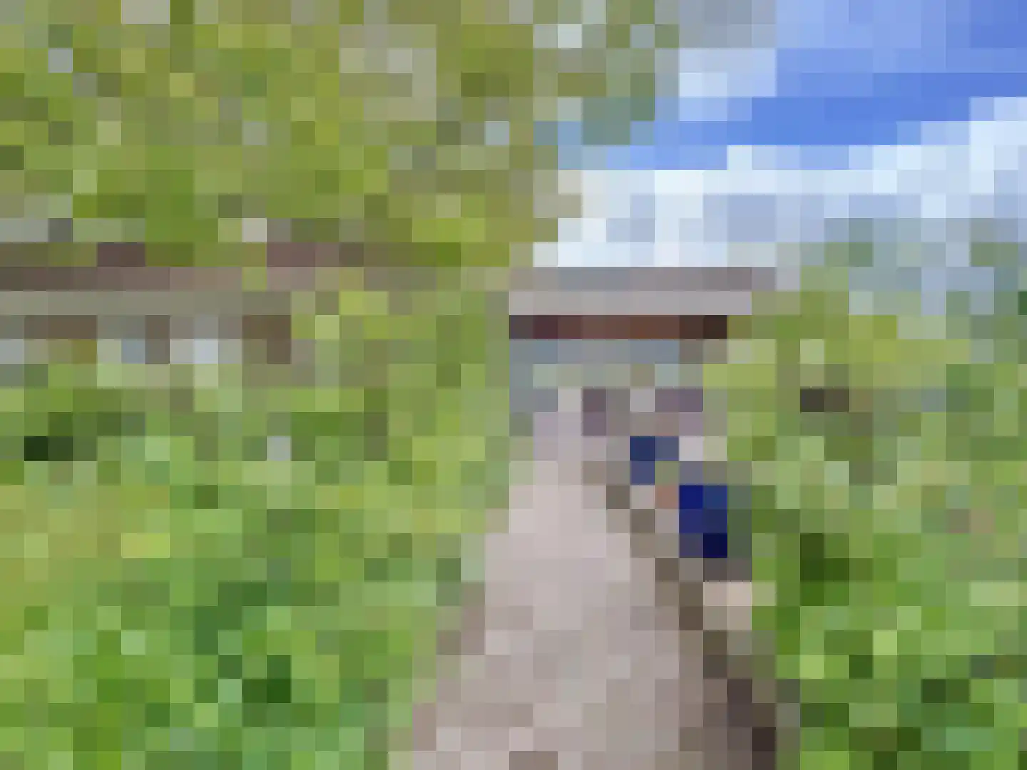 Watervlietseweg 38 IJzendijke thumbnail 21