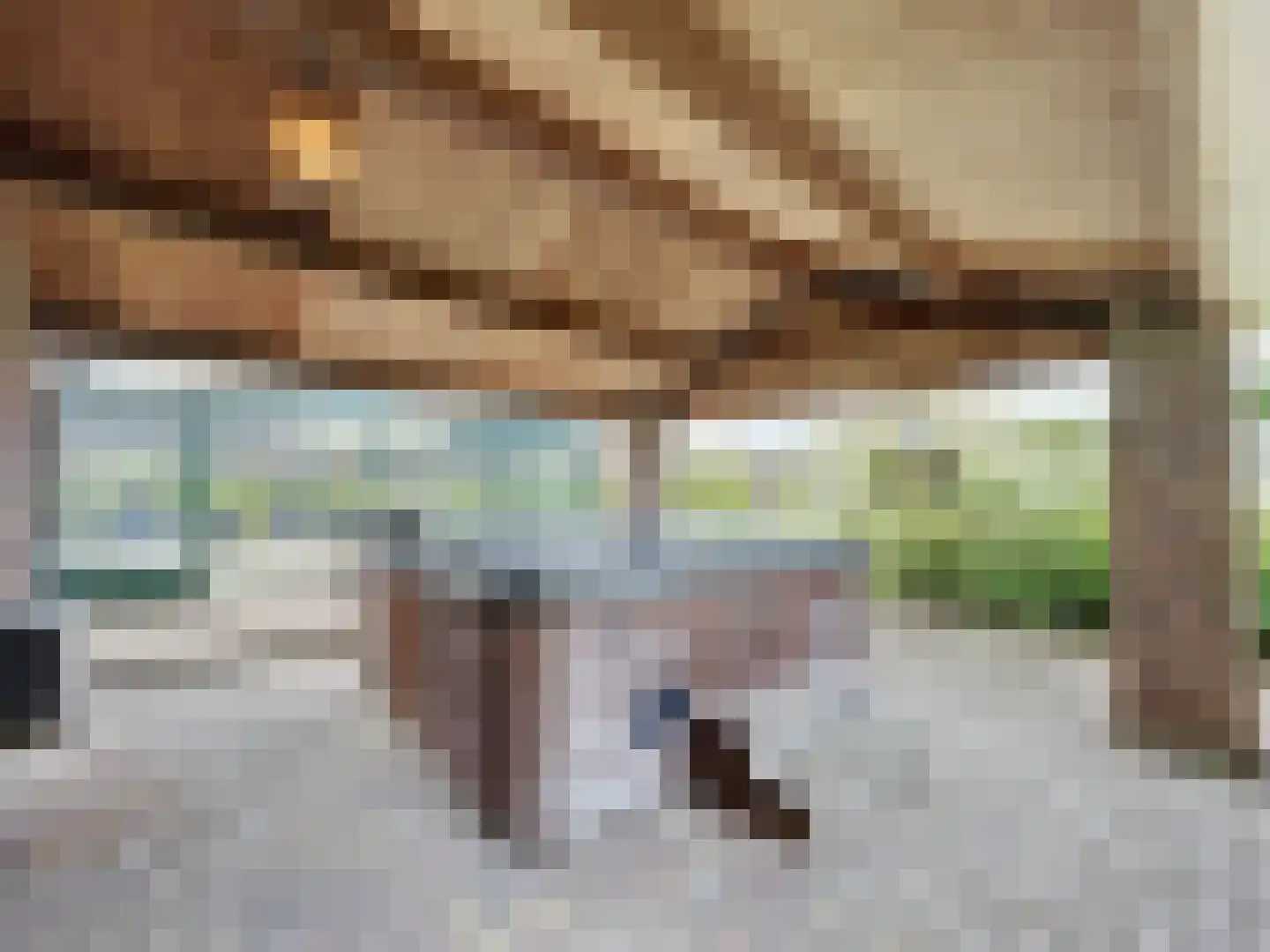 Watervlietseweg 38 IJzendijke thumbnail 22