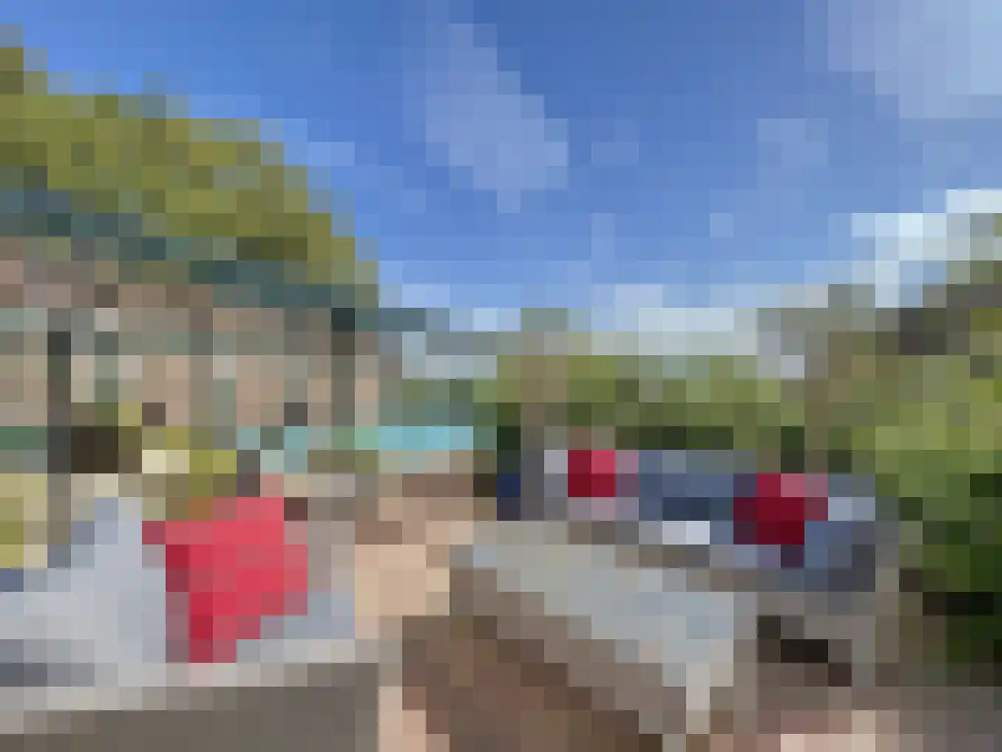 Watervlietseweg 38 IJzendijke thumbnail 25