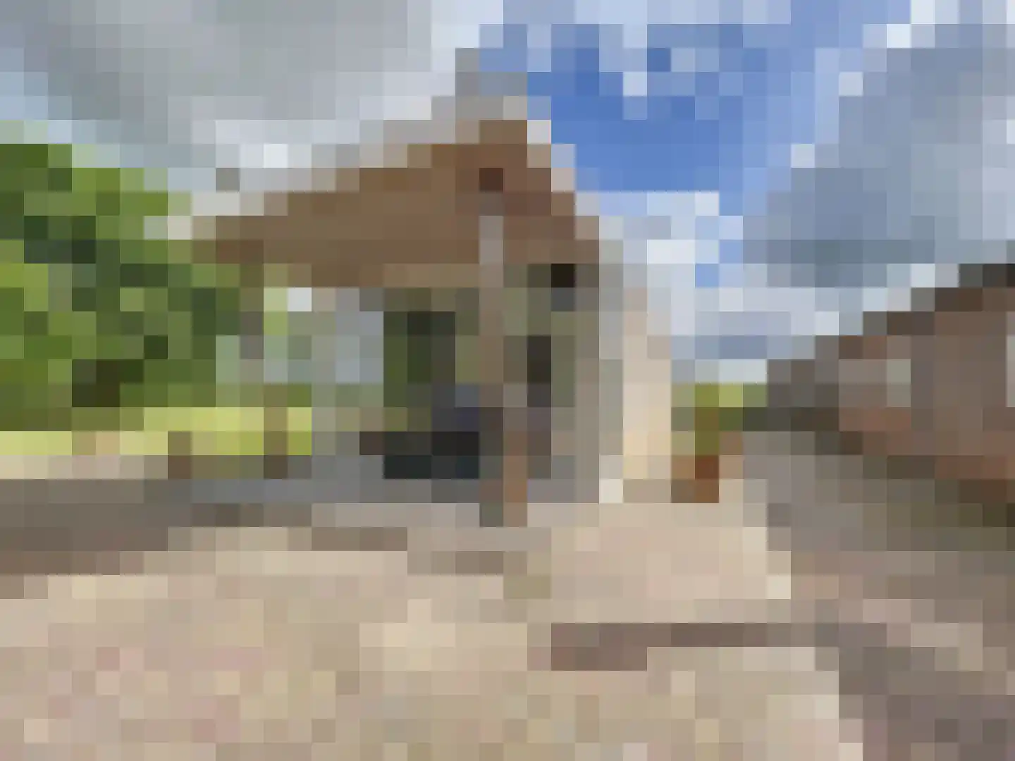 Watervlietseweg 38 IJzendijke thumbnail 27