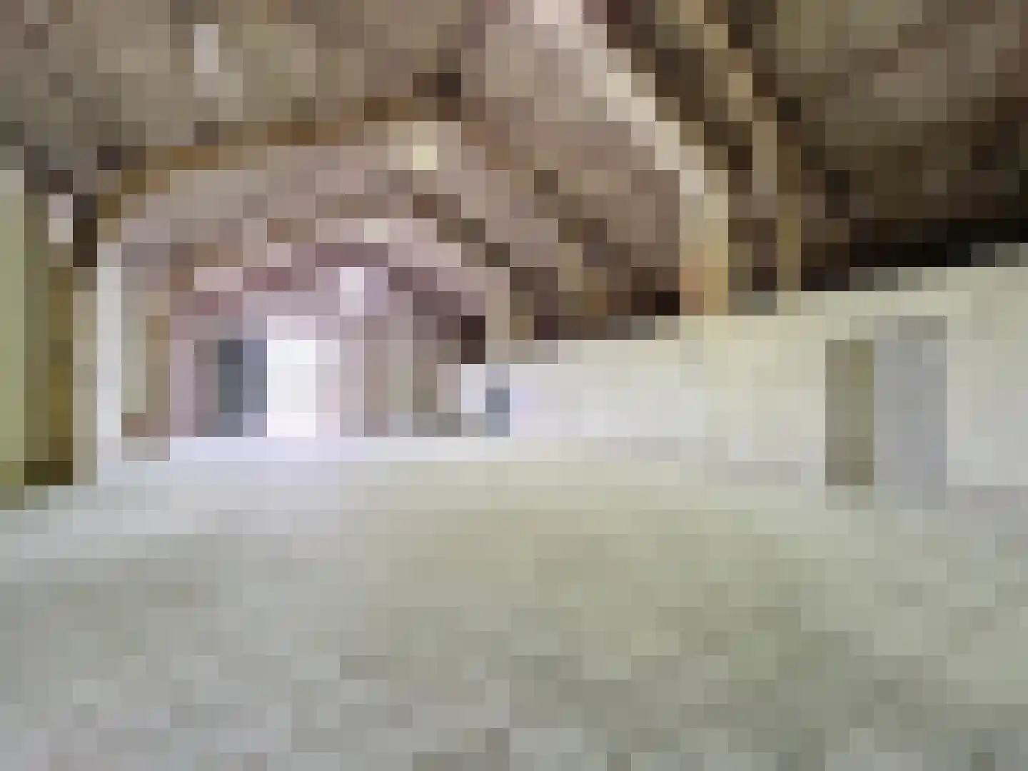 Watervlietseweg 38 IJzendijke thumbnail 30