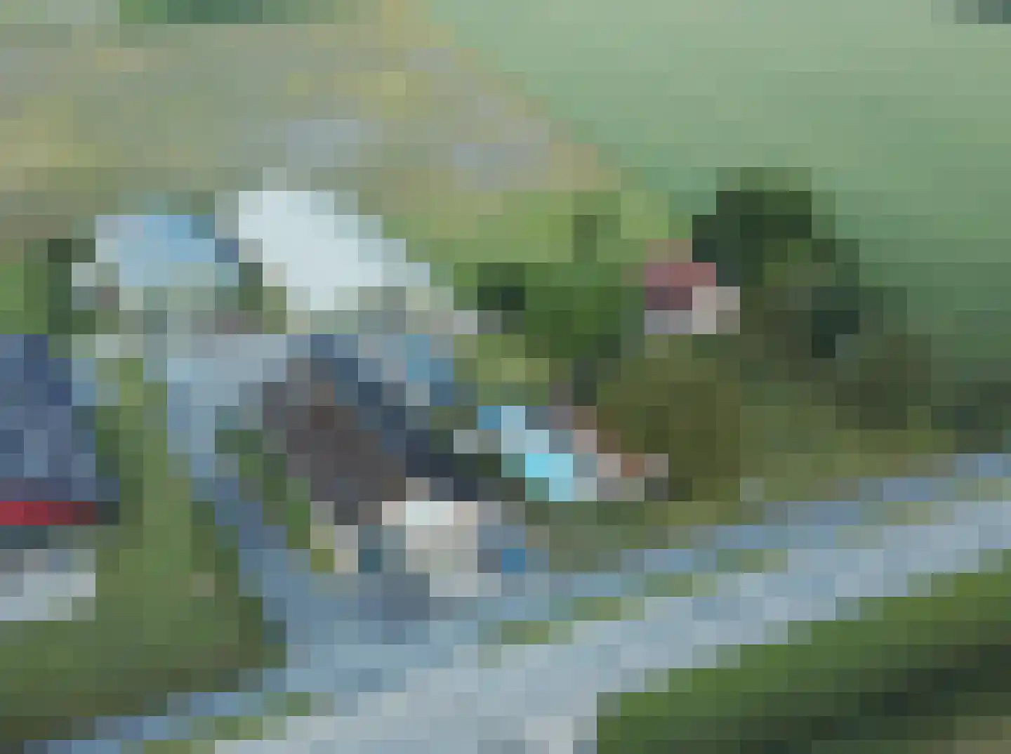 Watervlietseweg 38 IJzendijke thumbnail 36