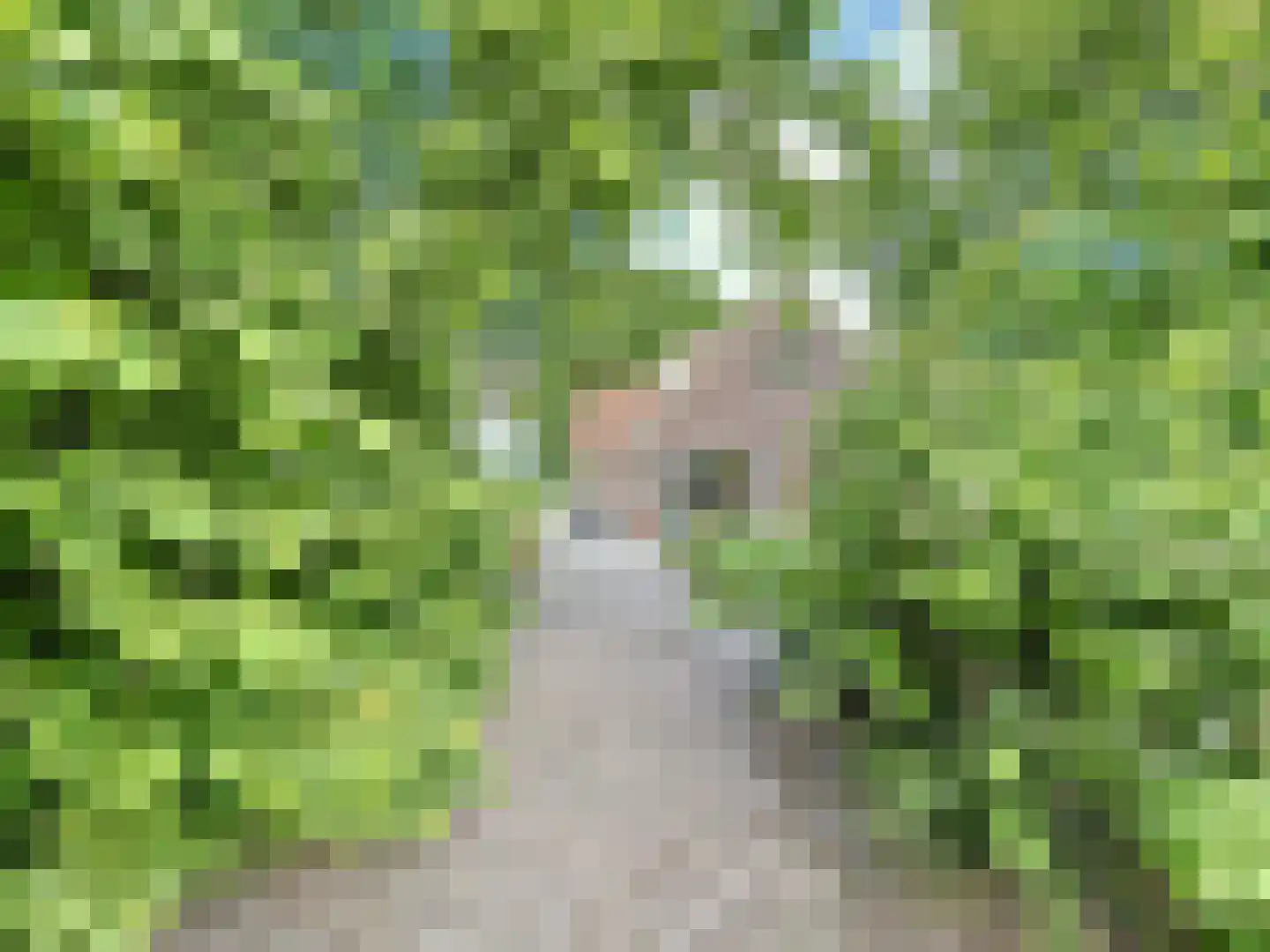 Watervlietseweg 38 IJzendijke thumbnail 6