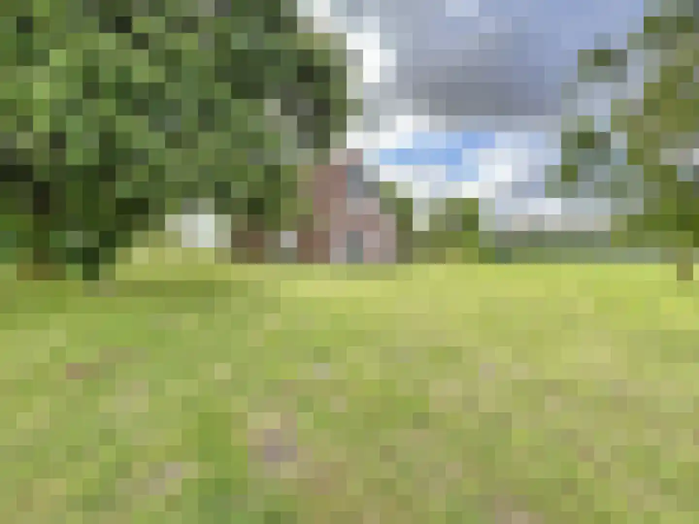 Watervlietseweg 38 IJzendijke thumbnail 7