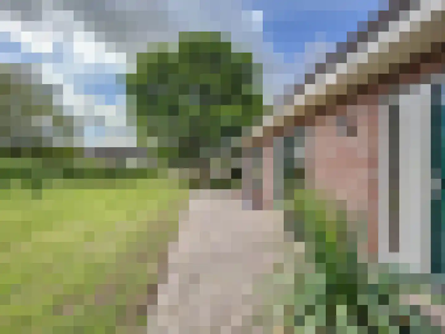 Watervlietseweg 38 IJzendijke thumbnail 8