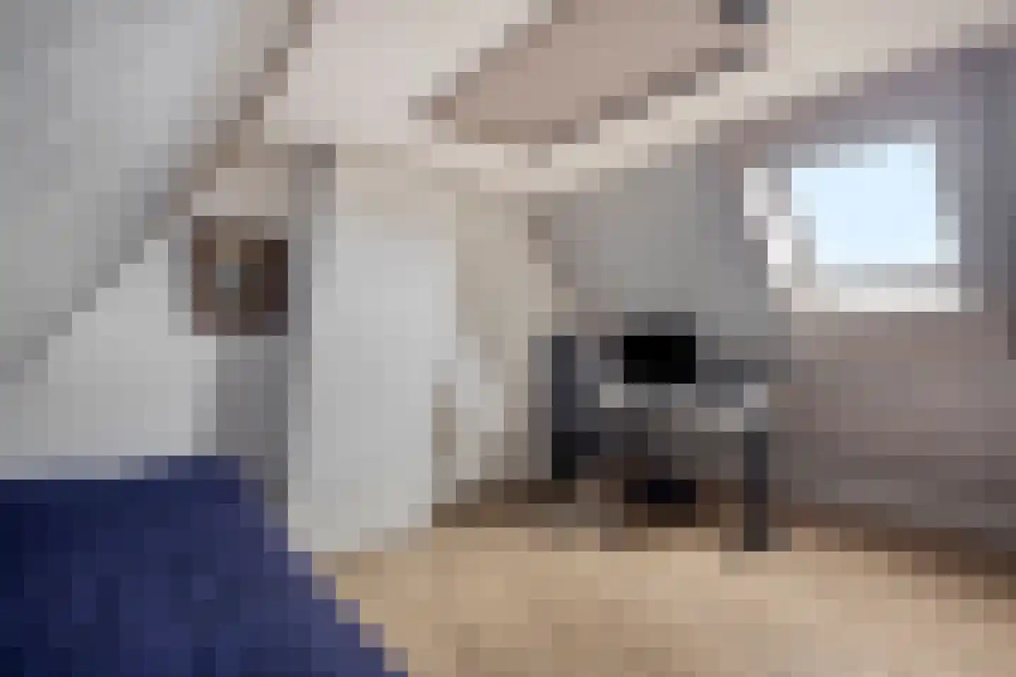 Watervlietstraat 39 Velsen-Noord thumbnail 26