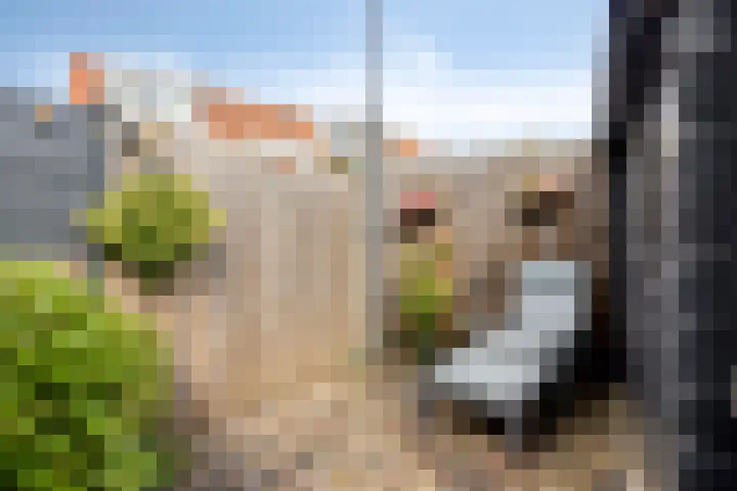 Watervlietstraat 39 Velsen-Noord thumbnail 31