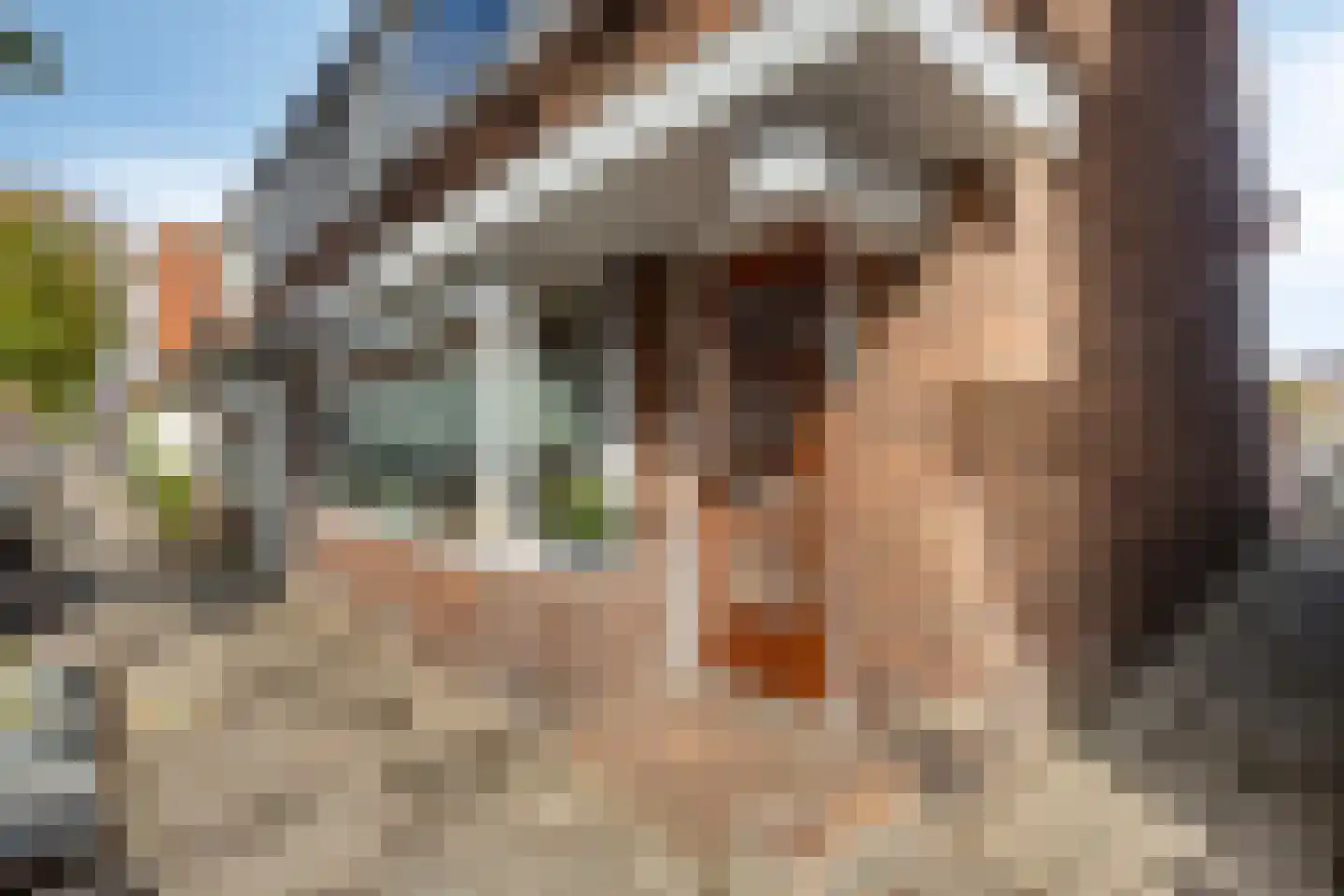 Watervlietstraat 39 Velsen-Noord thumbnail 34