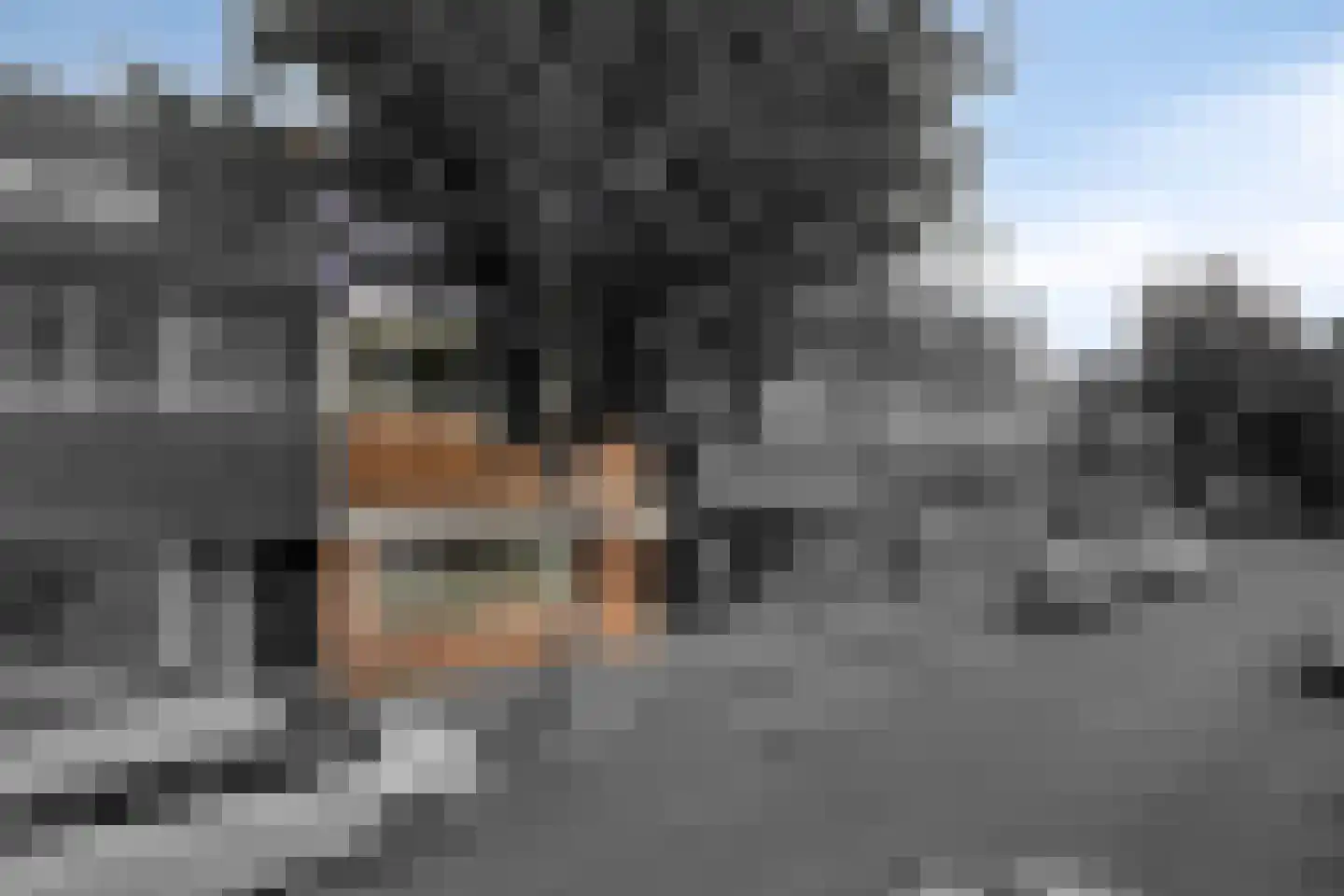 Watervlietstraat 39 Velsen-Noord thumbnail 41
