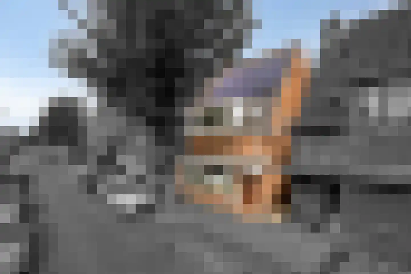 Watervlietstraat 39 Velsen-Noord thumbnail 44
