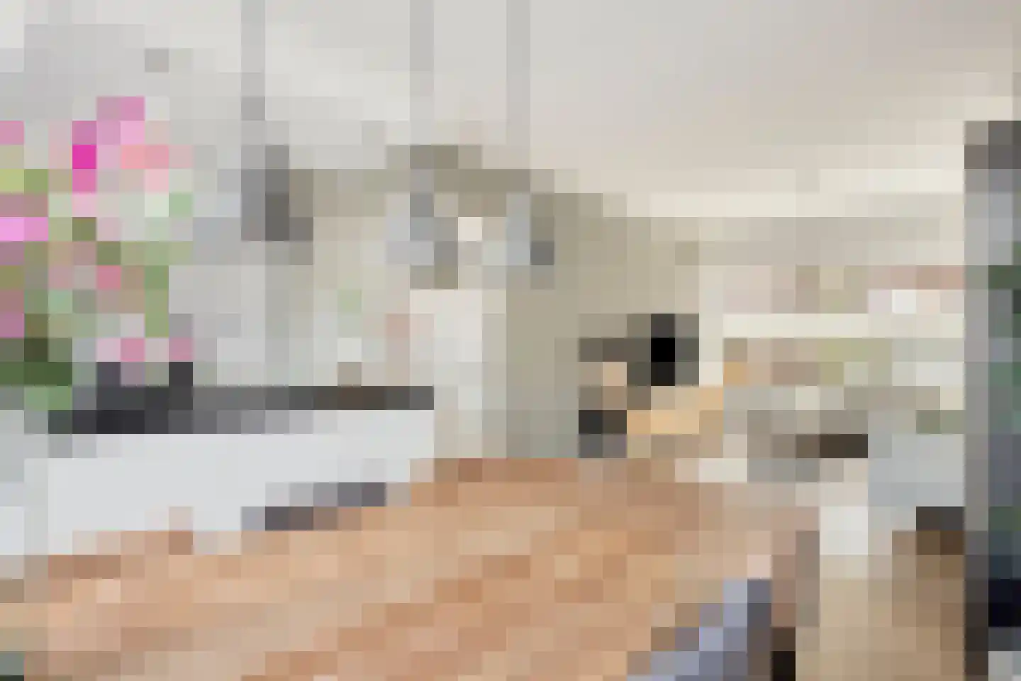 Watervlietstraat 39 Velsen-Noord thumbnail 8