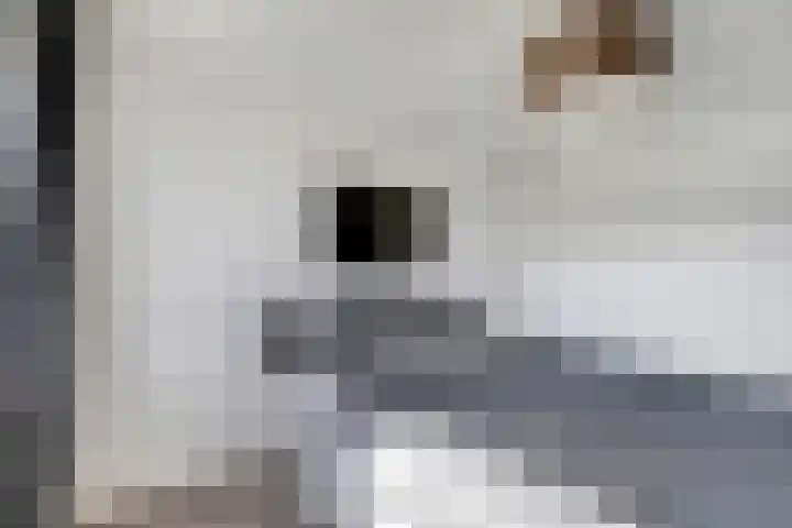 Watervluchtmolen 1 Nieuw-Lekkerland thumbnail 10