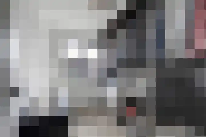 Watervluchtmolen 1 Nieuw-Lekkerland thumbnail 11