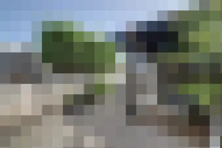 Watervluchtmolen 1 Nieuw-Lekkerland thumbnail 19