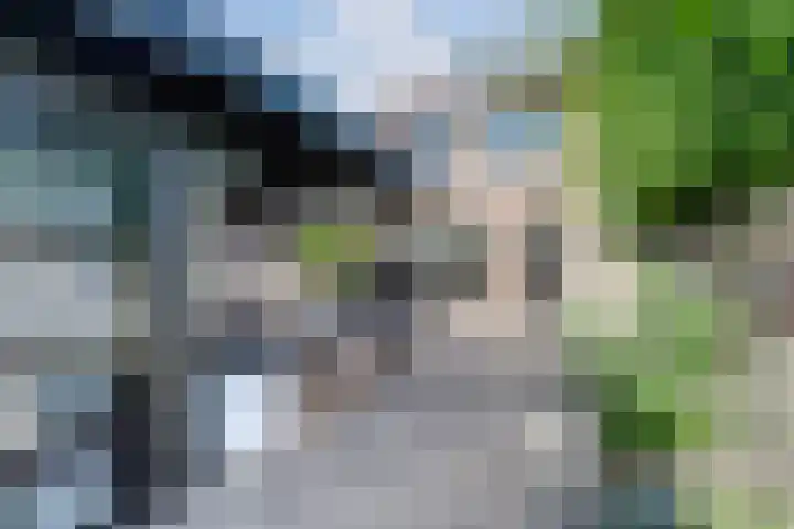 Watervluchtmolen 1 Nieuw-Lekkerland thumbnail 20