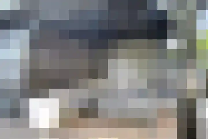 Watervluchtmolen 1 Nieuw-Lekkerland thumbnail 21