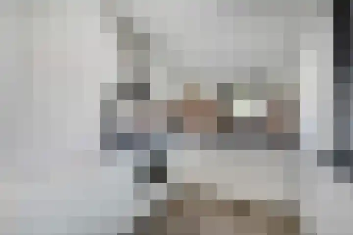 Watervluchtmolen 1 Nieuw-Lekkerland thumbnail 6