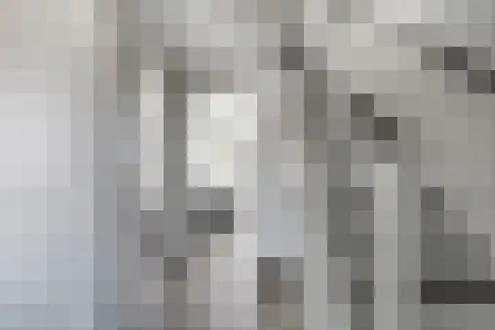 Watervluchtmolen 1 Nieuw-Lekkerland thumbnail 8
