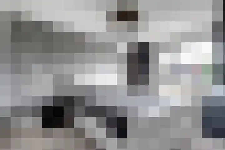 Watervluchtmolen 1 Nieuw-Lekkerland thumbnail 9