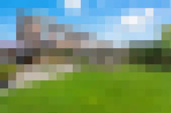 Watervluchtmolen 30 Nieuw-Lekkerland thumbnail 43
