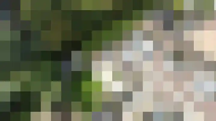 Watervluchtmolen 30 Nieuw-Lekkerland thumbnail 45