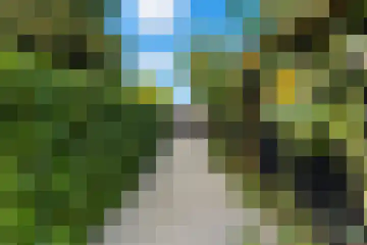 Watervluchtmolen 30 Nieuw-Lekkerland thumbnail 49