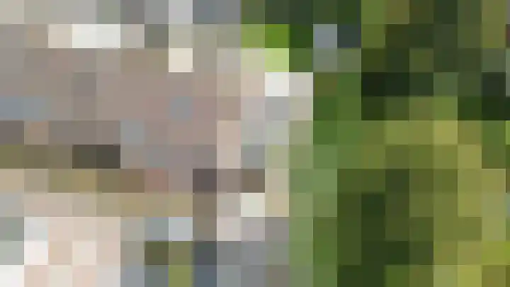 Watervluchtmolen 30 Nieuw-Lekkerland thumbnail 55