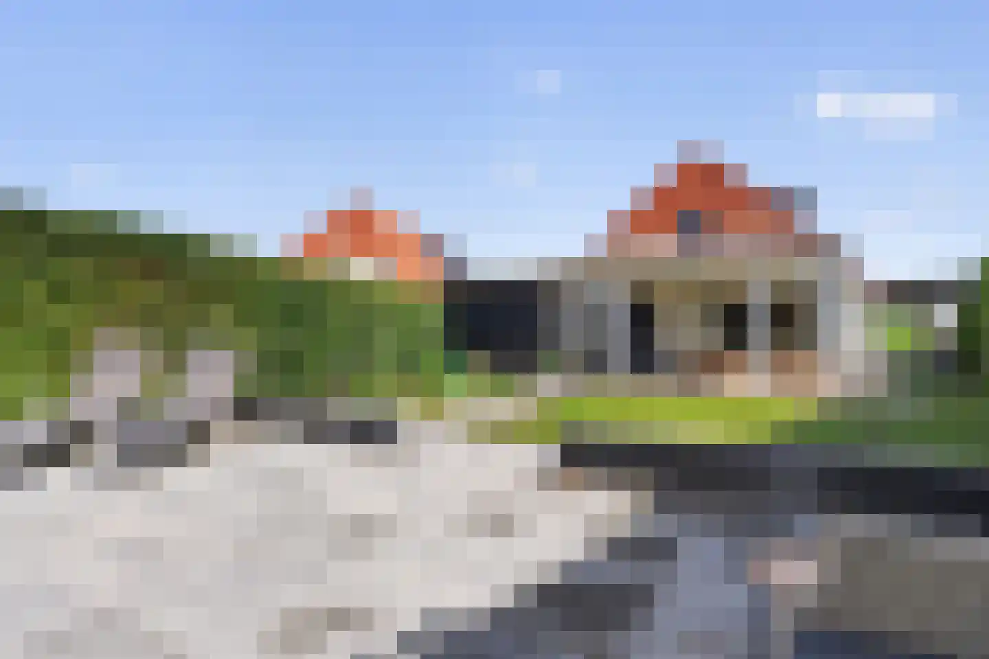 Watervogel 33 Lathum thumbnail 26