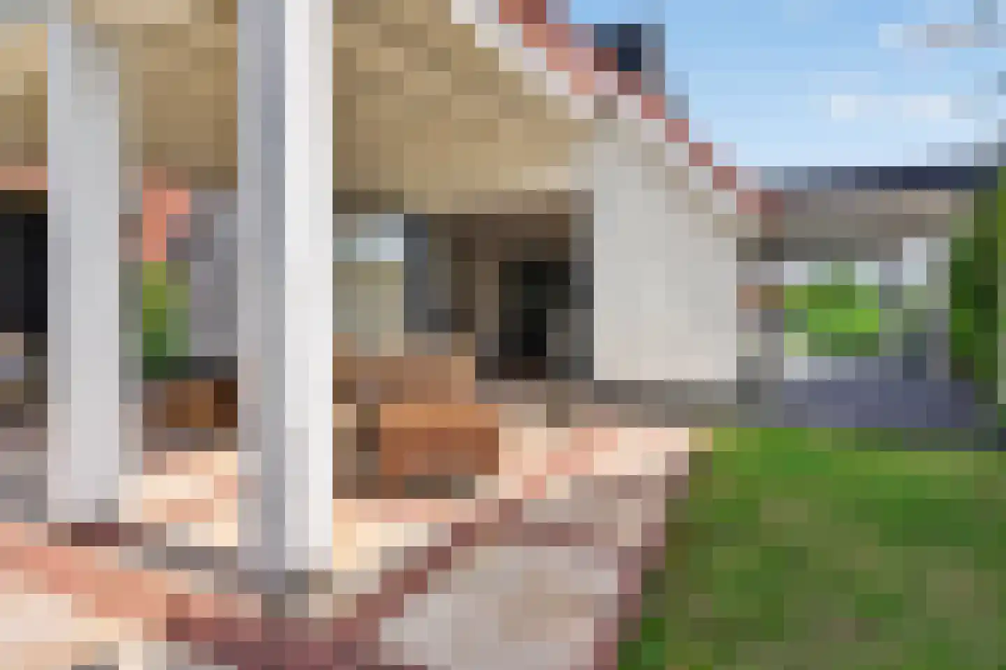 Watervogel 33 Lathum thumbnail 29