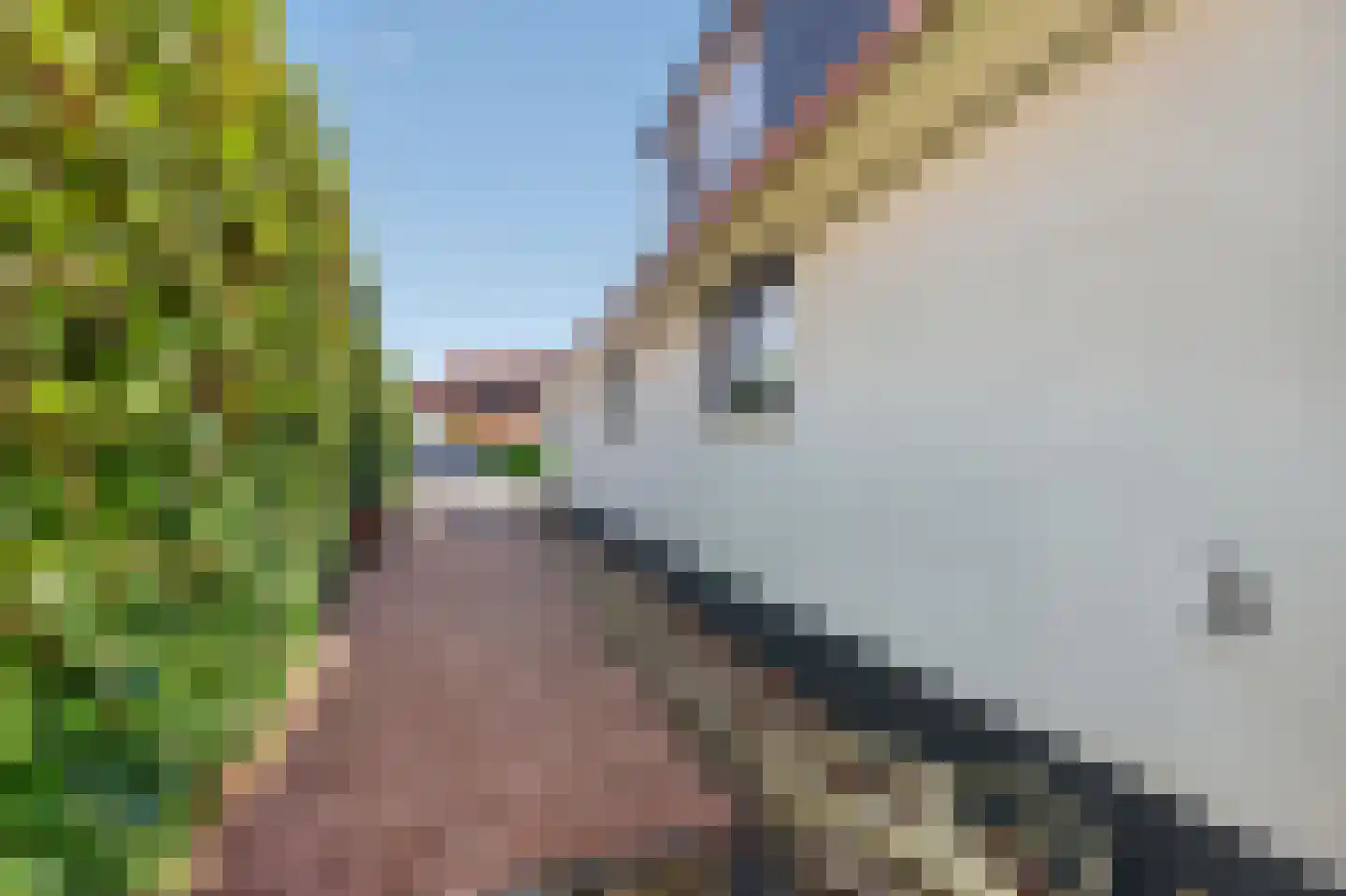 Watervogel 33 Lathum thumbnail 38