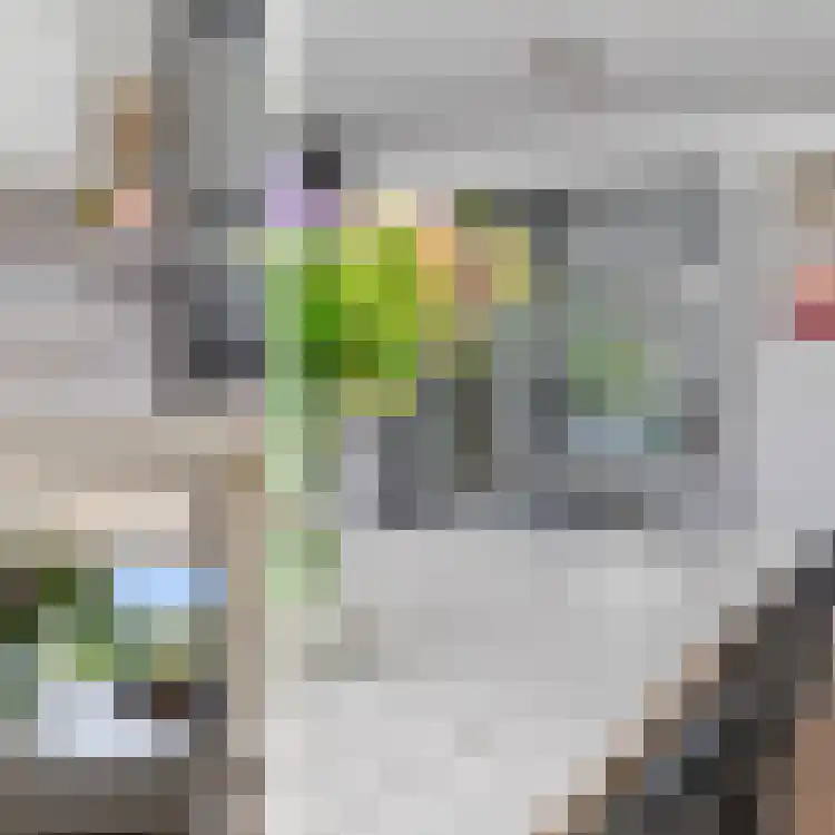 Watervogel 33 Lathum thumbnail 8