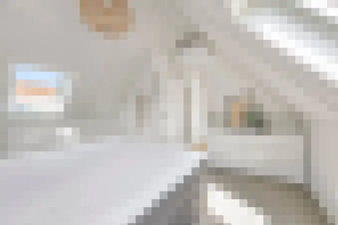 Watervogel 74 Lathum thumbnail 20