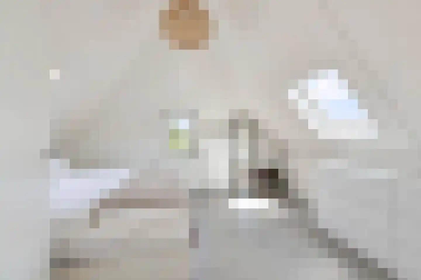 Watervogel 74 Lathum thumbnail 22