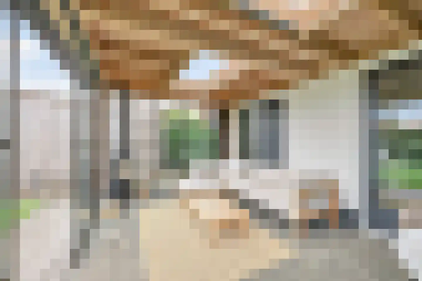 Watervogel 74 Lathum thumbnail 25